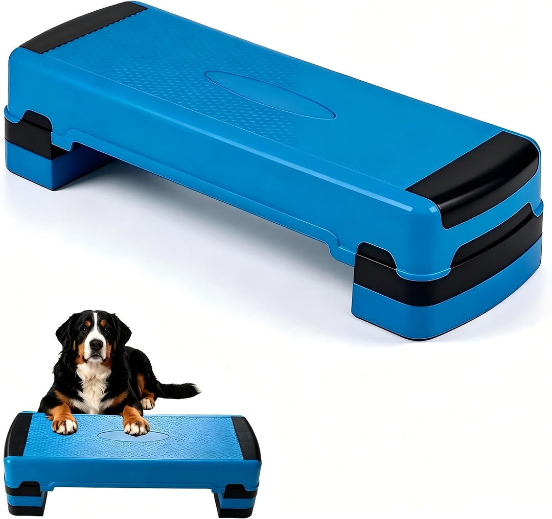 Exercise Equipment Aerobic Stepper