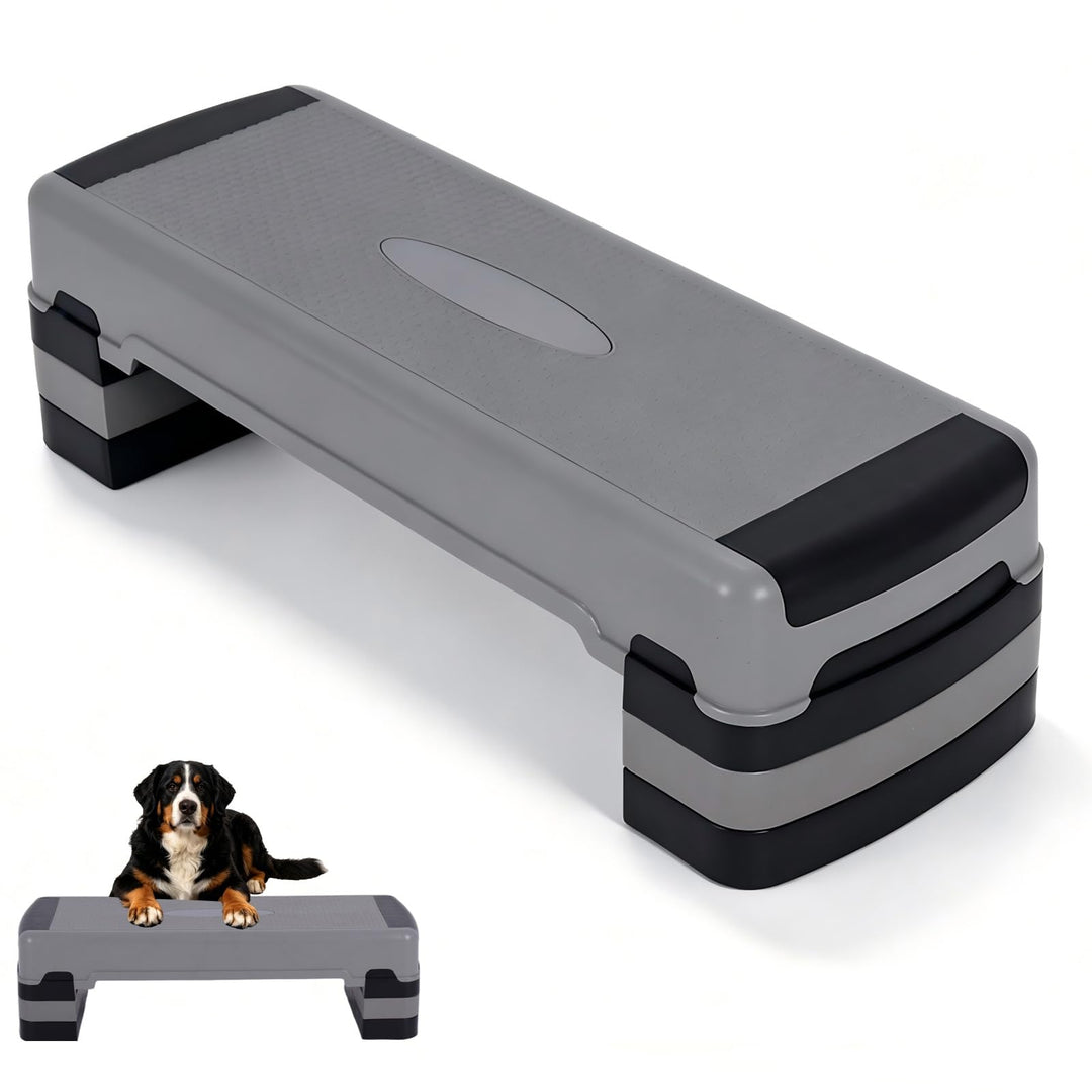 Exercise Equipment Aerobic Stepper